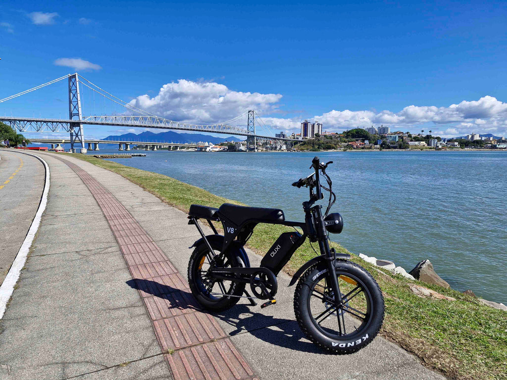 Ouxi V8 1000w 🚲Electric Bicycle with Passenger | 48V Battery | Without Driver's License and License Plate