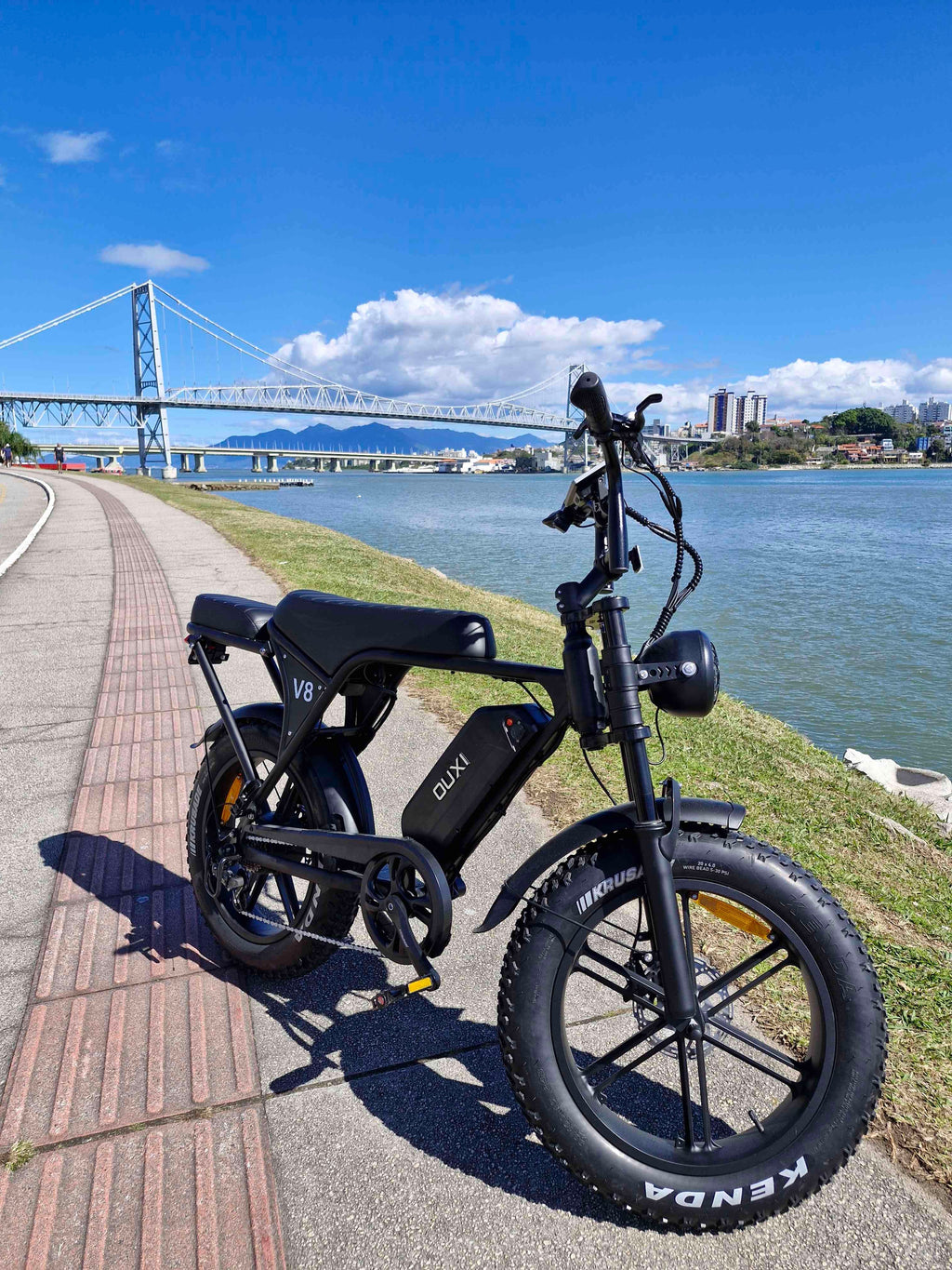 Ouxi V8 1000w 🚲Electric Bicycle with Passenger | 48V Battery | Without Driver's License and License Plate