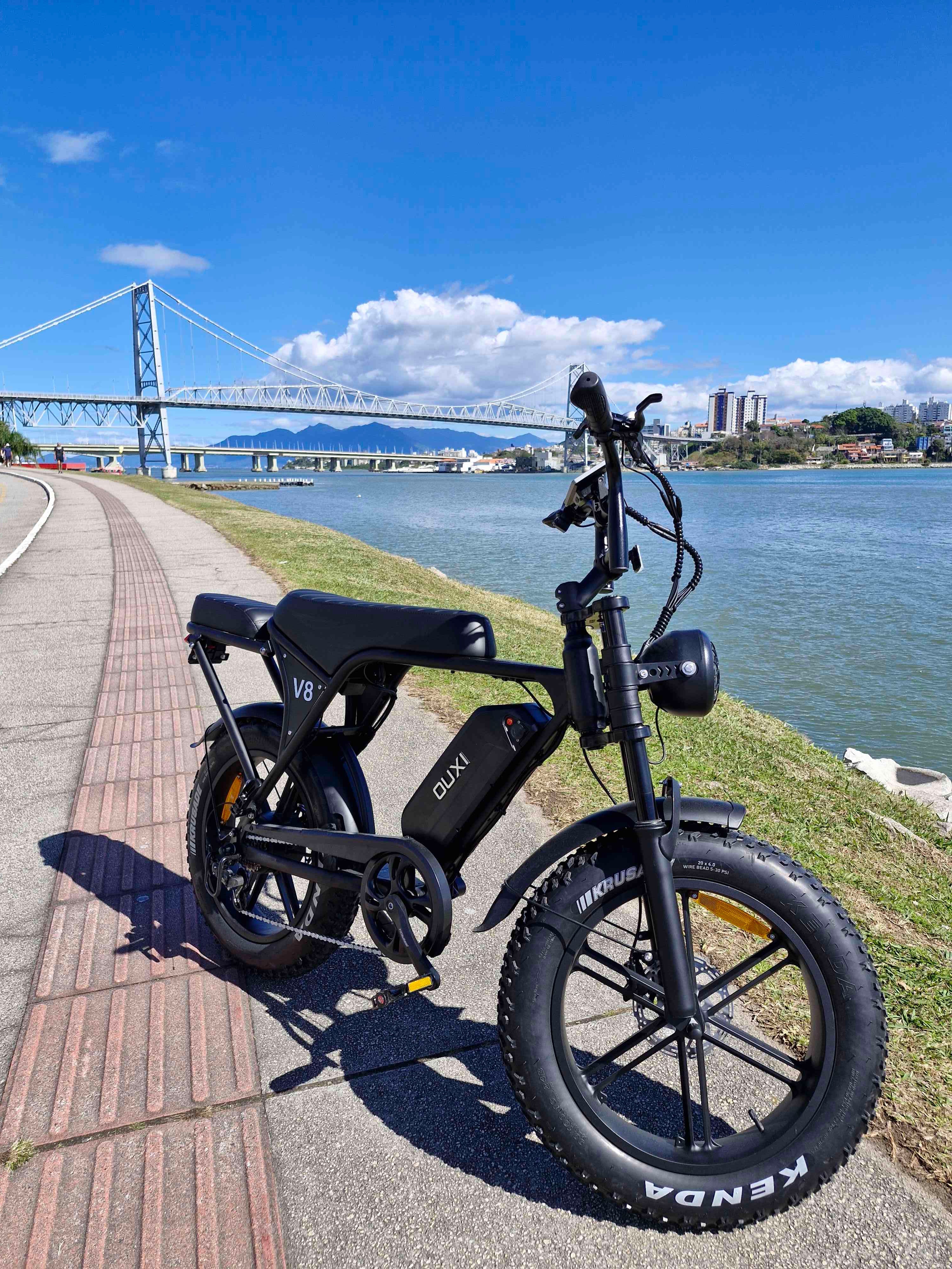 Ouxi V8 1000w 🚲Electric Bicycle with Passenger | 48V Battery | Without Driver's License and License Plate