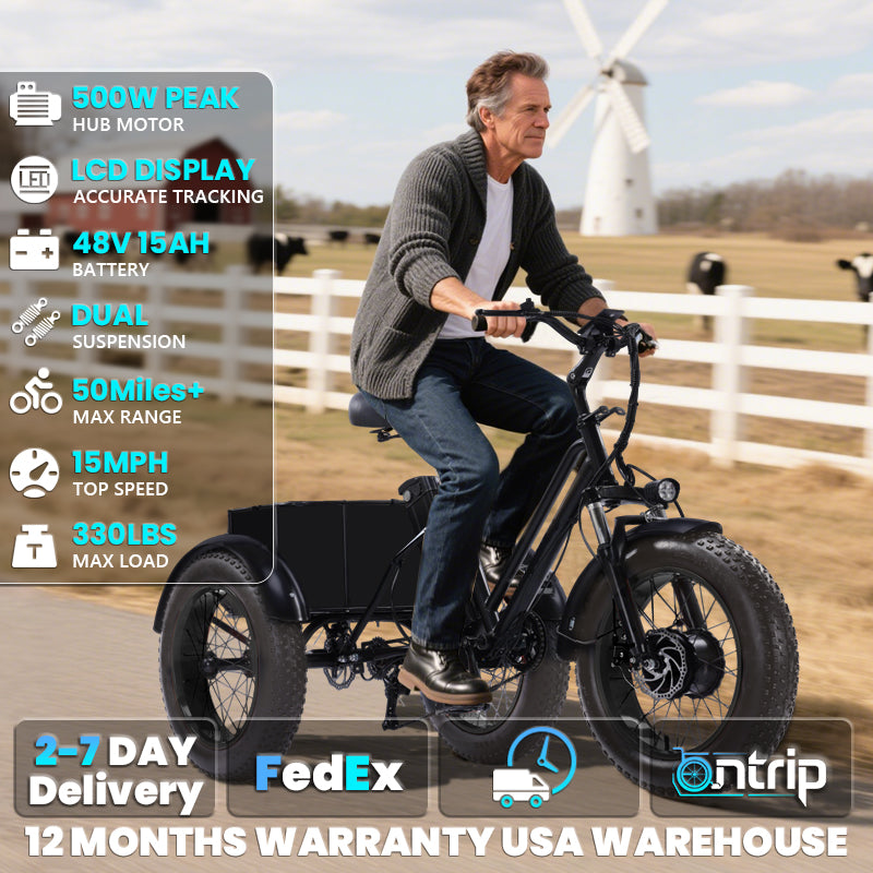 Adult Electric Tricycle