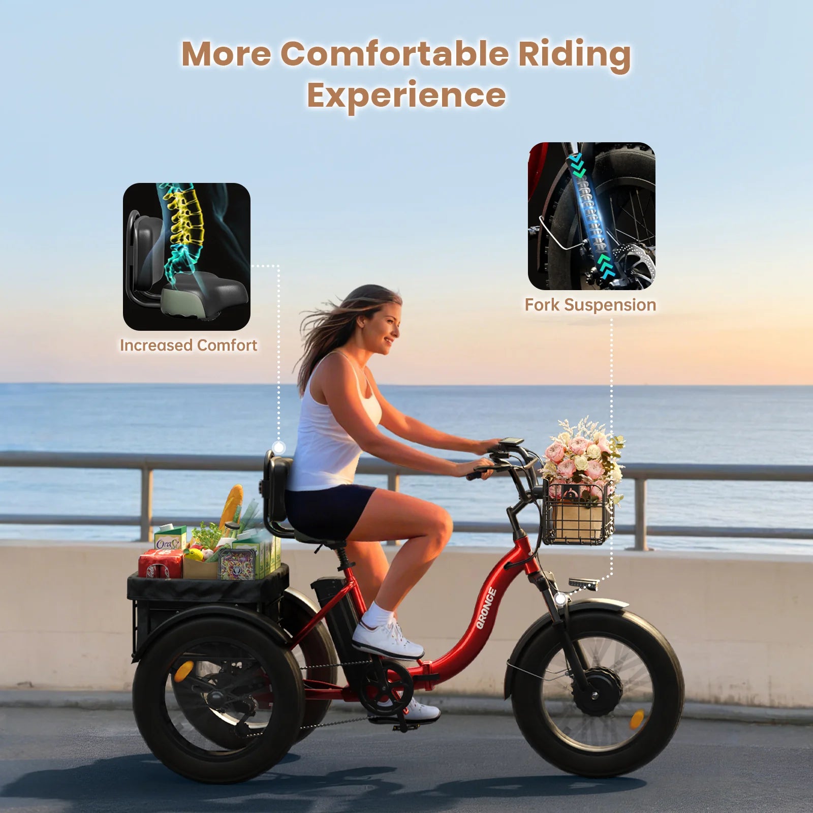 Adult Electric Tricycle