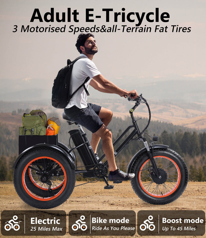 Adult Electric Tricycle