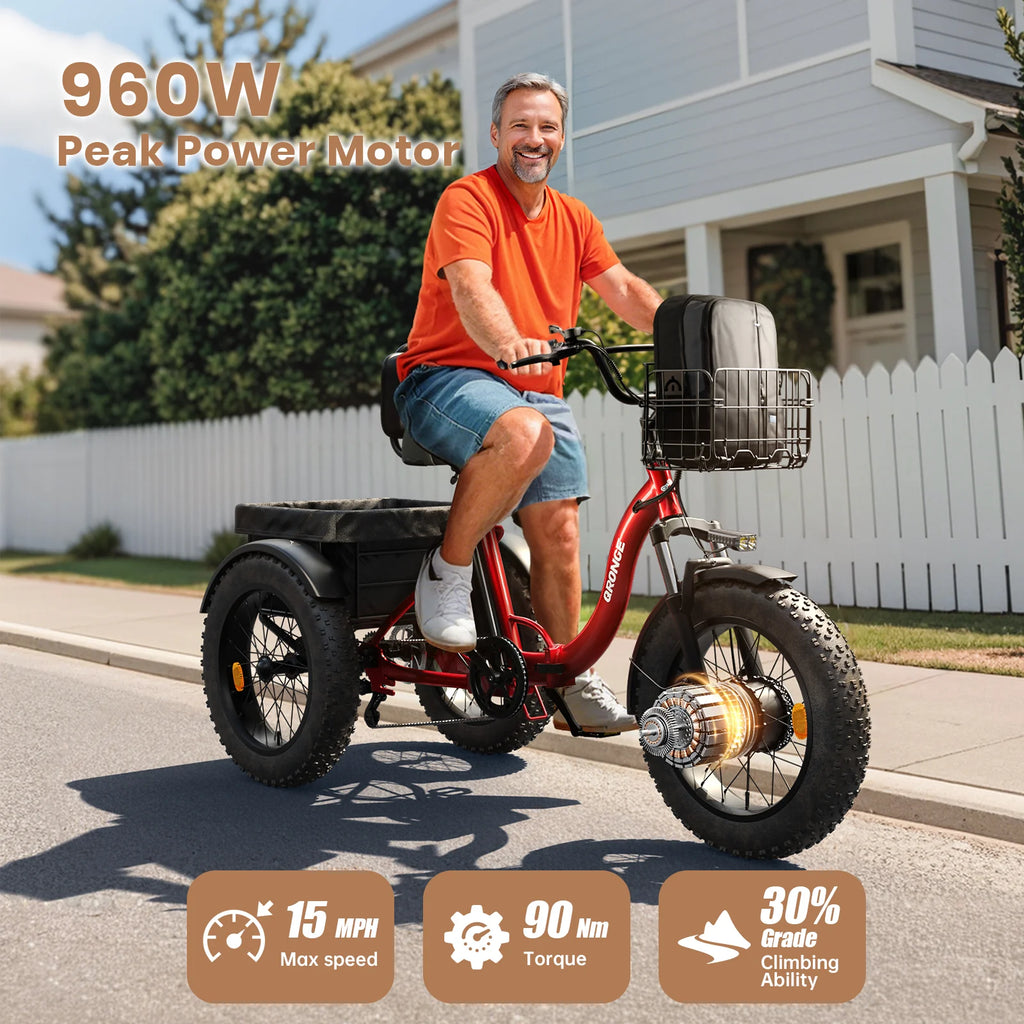 Adult Electric Tricycle