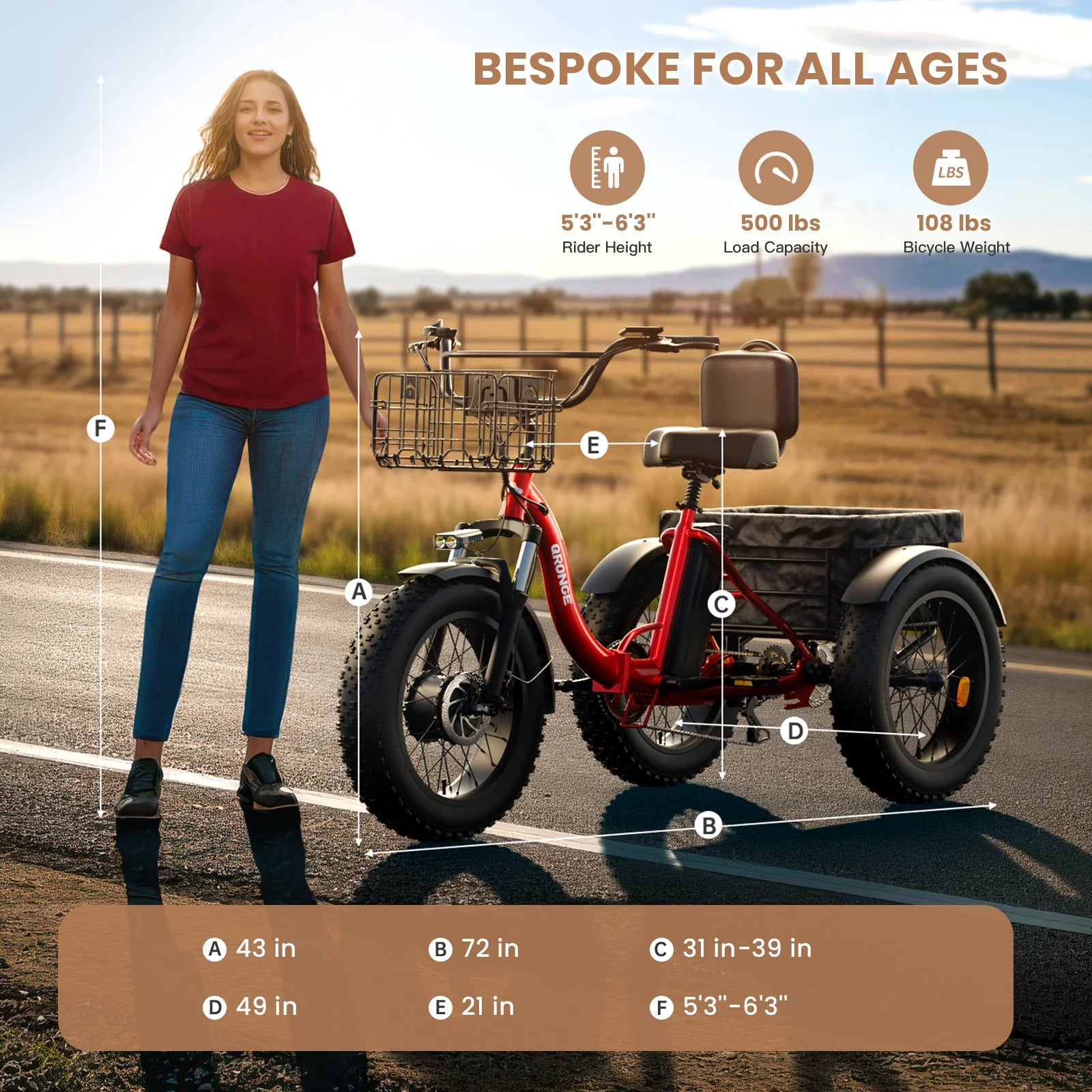 Adult Electric Tricycle